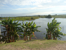 "Viagem ao Pantanal". Foto enviada por Simony Gonçalves Cordeiro.