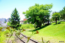 Foto:Erci Bohrer.