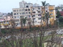 Foto Álvaro Brusco.
