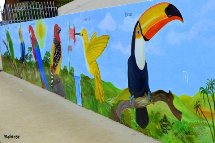 Pinturas em muro de Caçador. Foto Erci Bohrer.