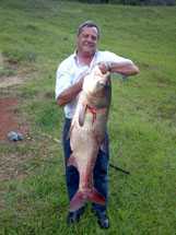 Carpa cabeça-grande 19kg pescada em um açude da região pelo glorioso Pita. Jan 2009.