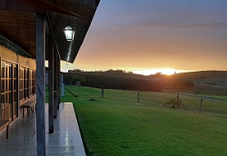 Foto Antônio Ribas Neto.