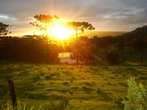 Paisagem: Registro do pôr do sol entre Calmon e Caçador. Foto enviada por Fernanda Pasini. 13/01/2008.