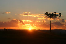 Foto Yago Pereira.