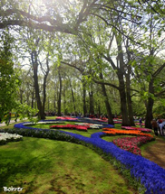 Primavera chegando.Foto Erci Bohrer.