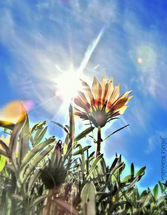 Foto Joi Bianchin.