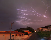 Jóia rara. Foto Joi Bianchin.