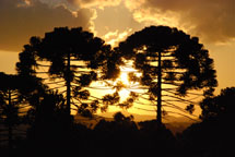 Por do sol em Caçador. Foto Jorge Tadeu.