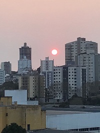 Foto do Dia