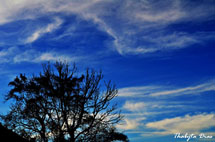 Foto Thabyta Dias.