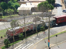 Para recordar o passado. Passagem do trem por Caçador sábado 29/08/2009. Foto Erci Bohrer.