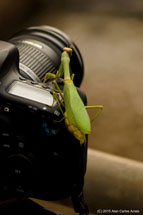 Foto: Alan Carlos Arrais.