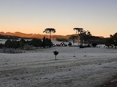 Vinícola Villaggio Grando - Água Doce - SC.